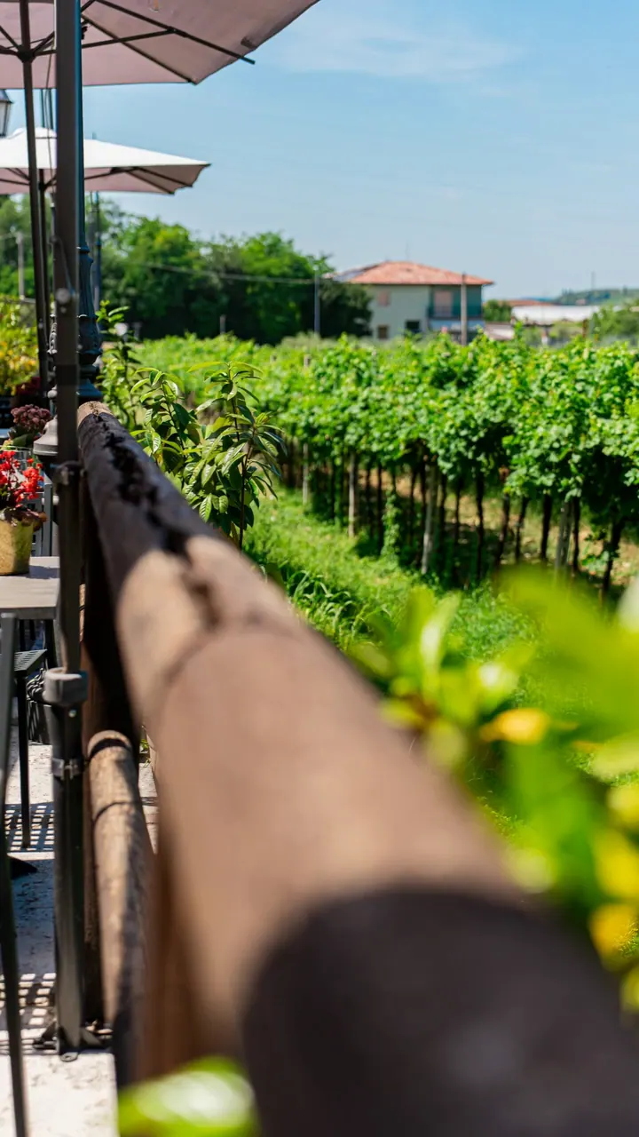 La veranda della Vecchia Rama affacciata sulle vigne di Negrar, in Valpolicella
